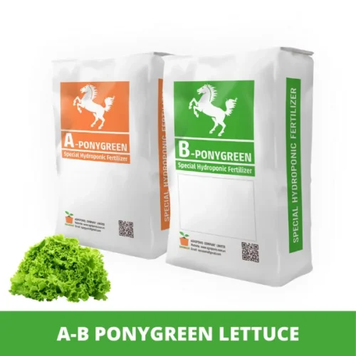 A-B PONYGREEN Xà Lách